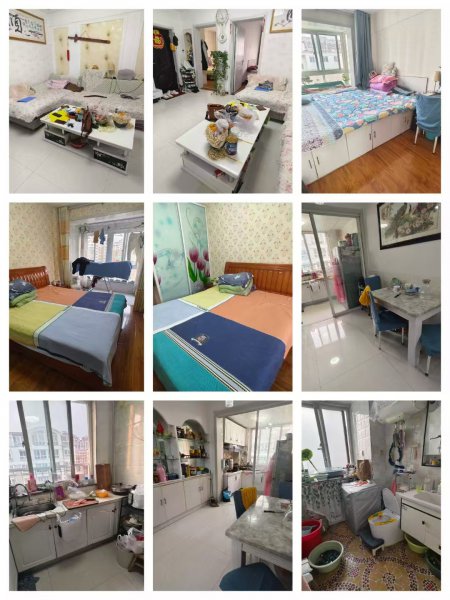小博士幼兒園，二中，文峰小學(xué)房源