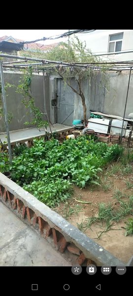 五龍西街一樓出租