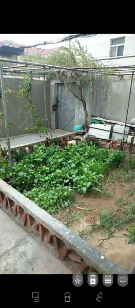 峰山路一樓出租