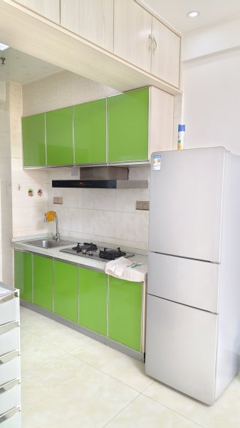 康業(yè)現(xiàn)代城公寓出租