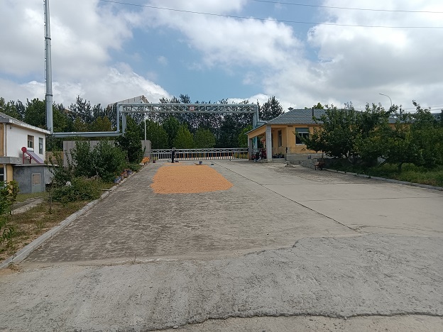 文登開發(fā)區(qū)廠房場地出租 文登開發(fā)區(qū)廠房場地出租