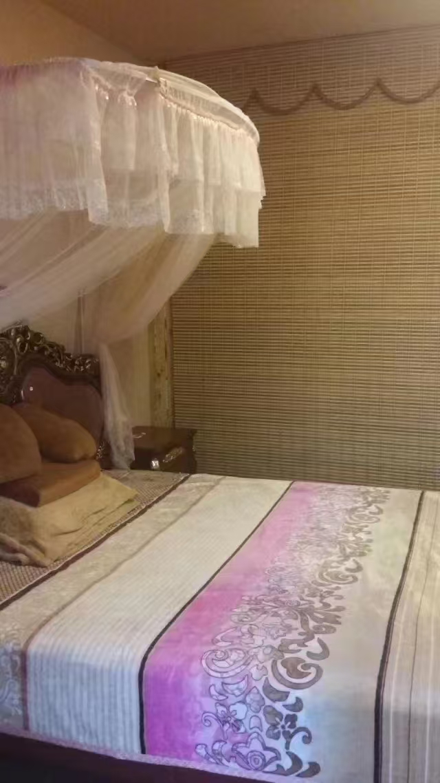 @1000/月，龍港外灘，12樓，西向