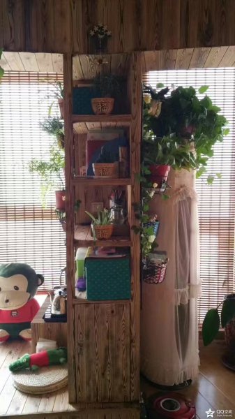 @1000/月，龍港外灘，12樓，西向