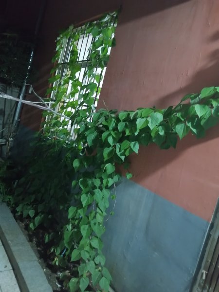 香和苑對(duì)面，大潤(rùn)發(fā)北，生產(chǎn)街一樓帶院對(duì)外出租