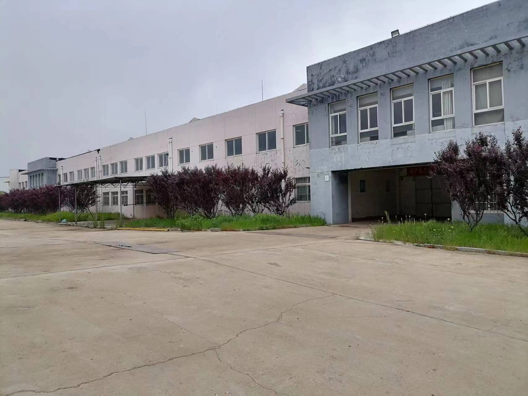 出租文登環(huán)島公園南廠房、辦公樓