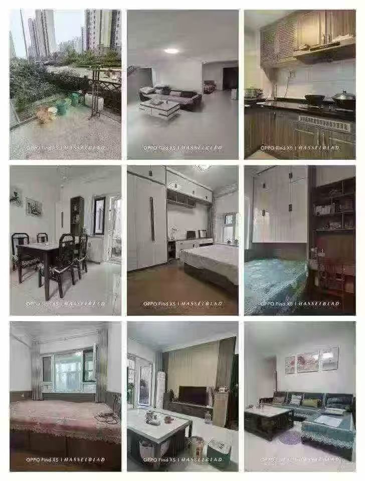 碧桂園翡翠郡一樓帶下躍共256平40平院子大王椰裝修99.8 碧桂園翡翠郡一樓帶下躍共256平40平院子大王椰裝修99.8