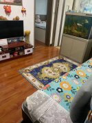 香水小區(qū)急售15.8萬86平小三室